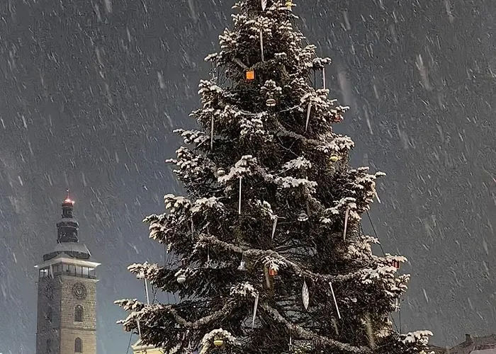 Hradební 16 Ceske Budejovice