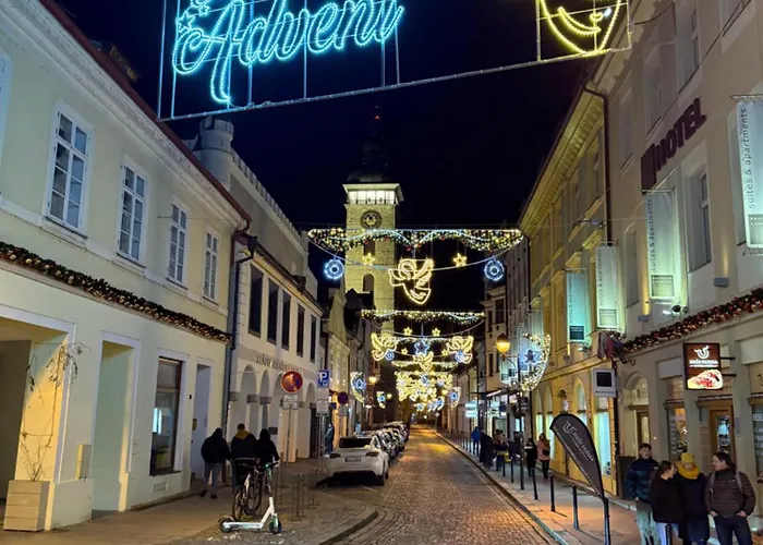 Hradební 16 Bed & Breakfast Ceske Budejovice