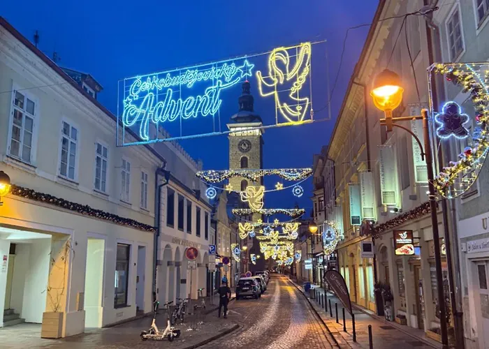 Hradební 16 * Ceske Budejovice